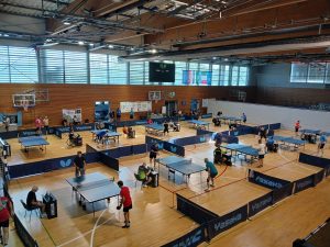 Pazin Rim summer open 2026